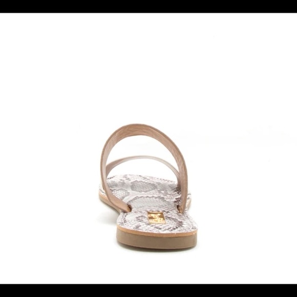 Qupid Athena snake sandal NEW - Picture 4 of 5